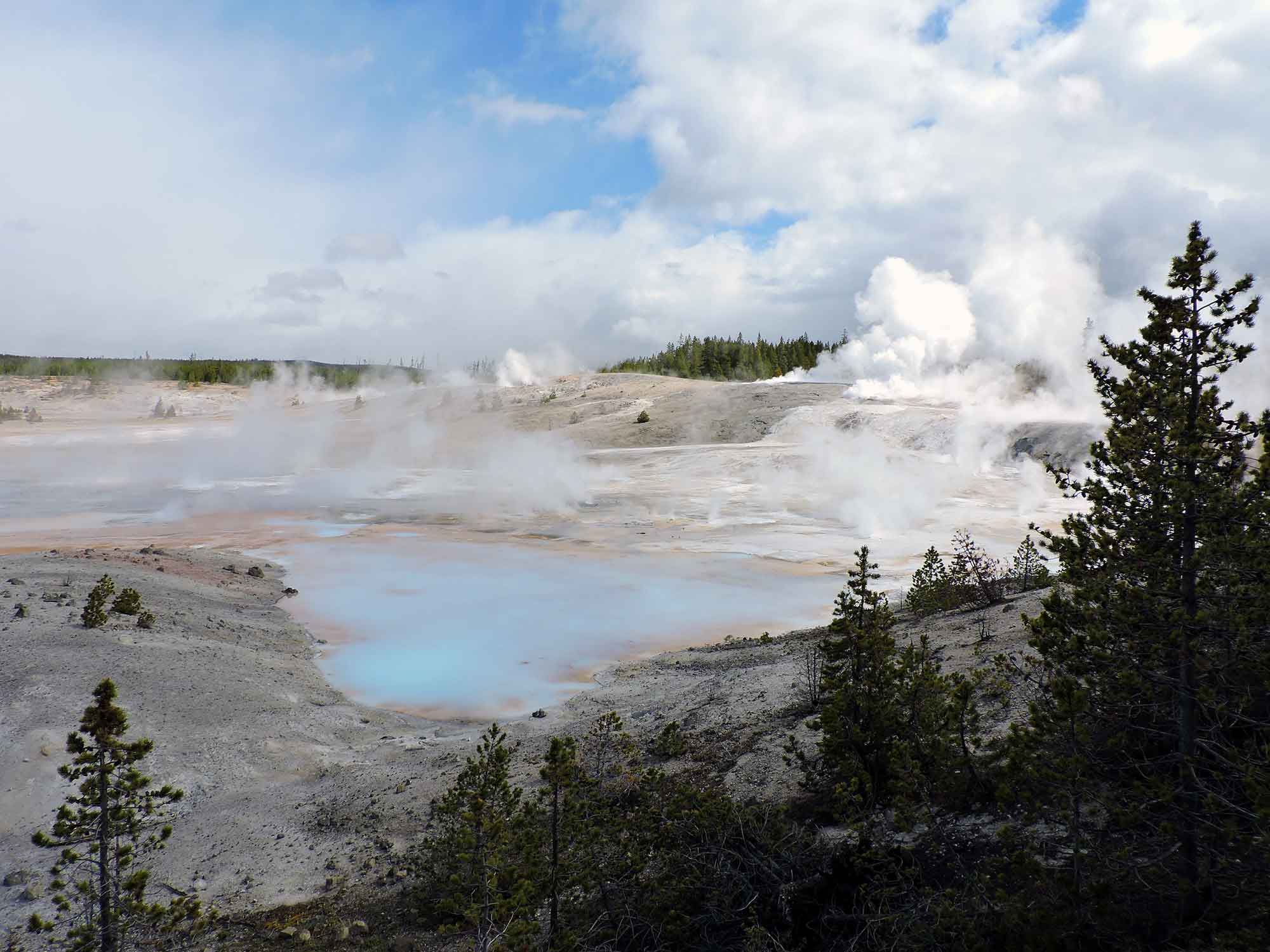 Norris Geyser Basin, Yellowstone National Park