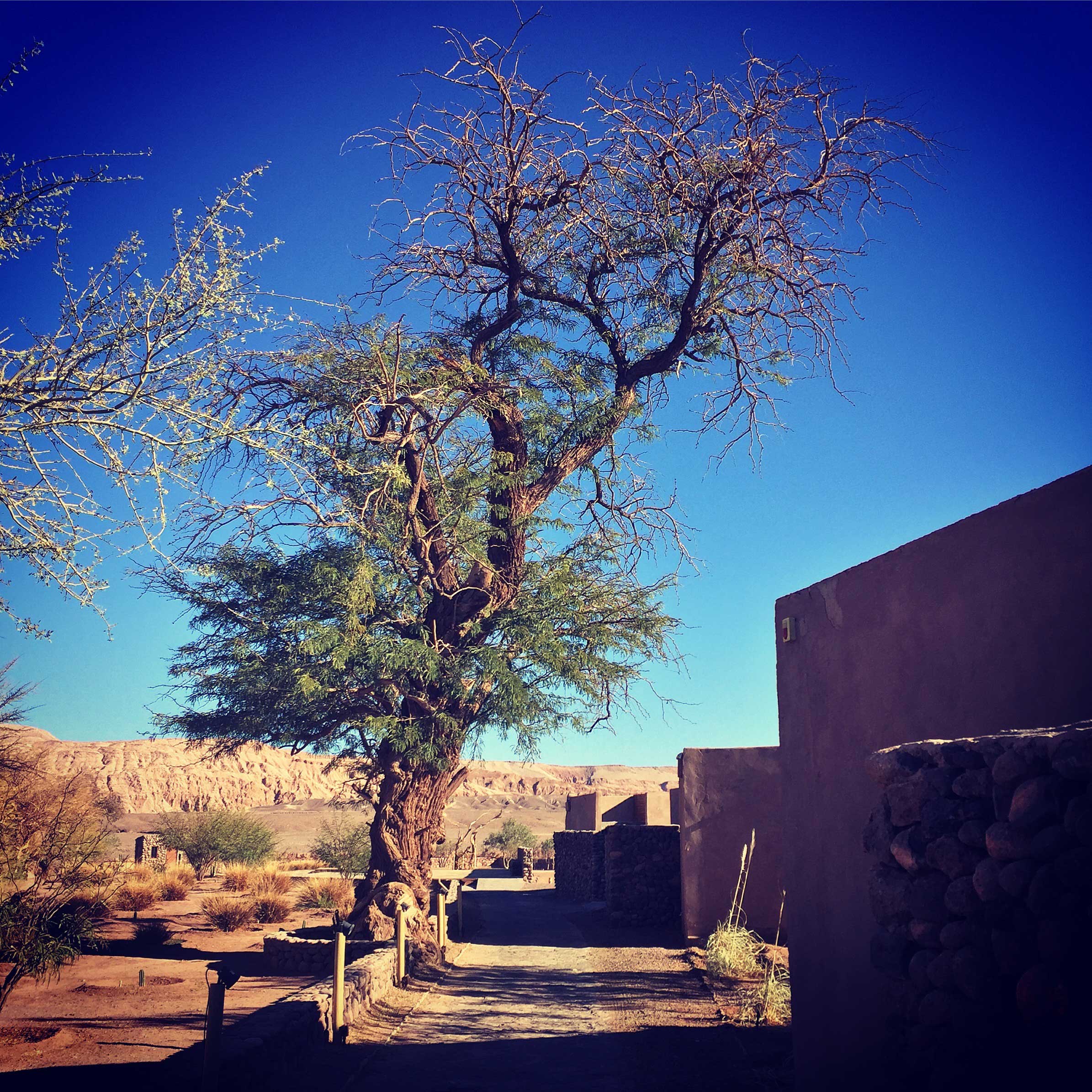 Atacama Desert San Pedro resort