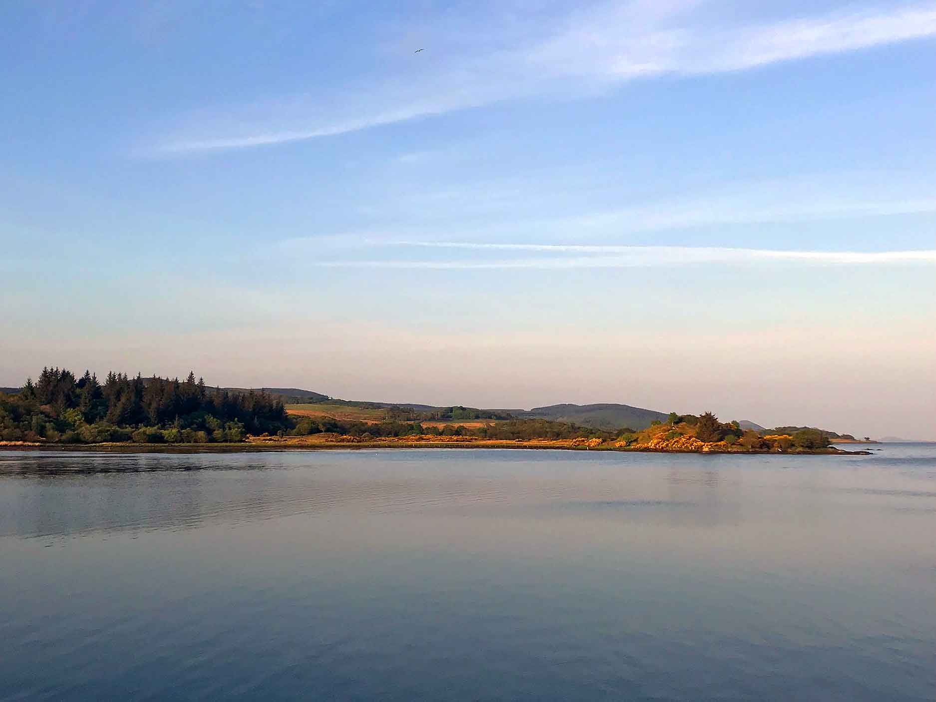 landscape view from islay ferry in scotland