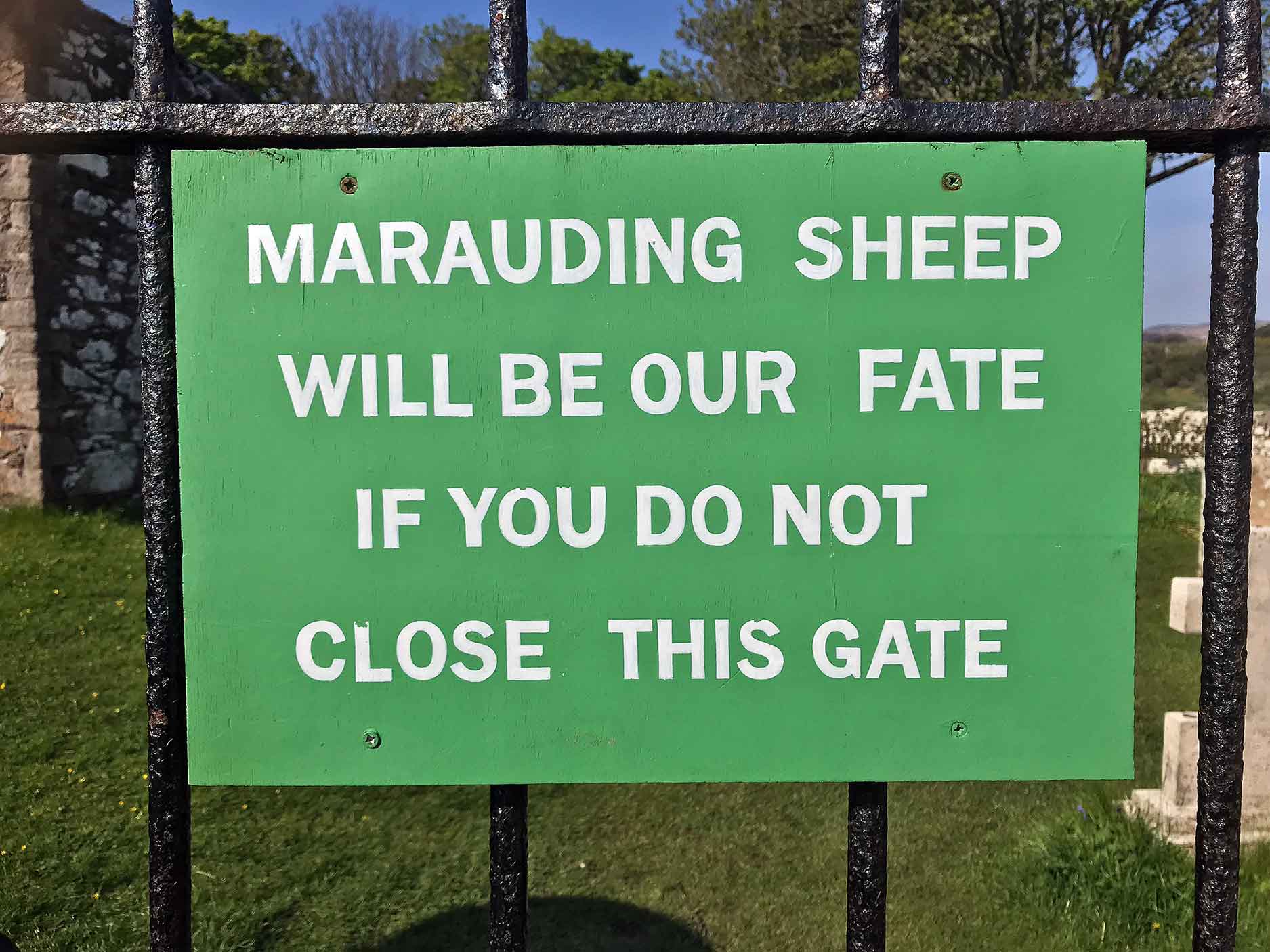 kildalton sheep sign