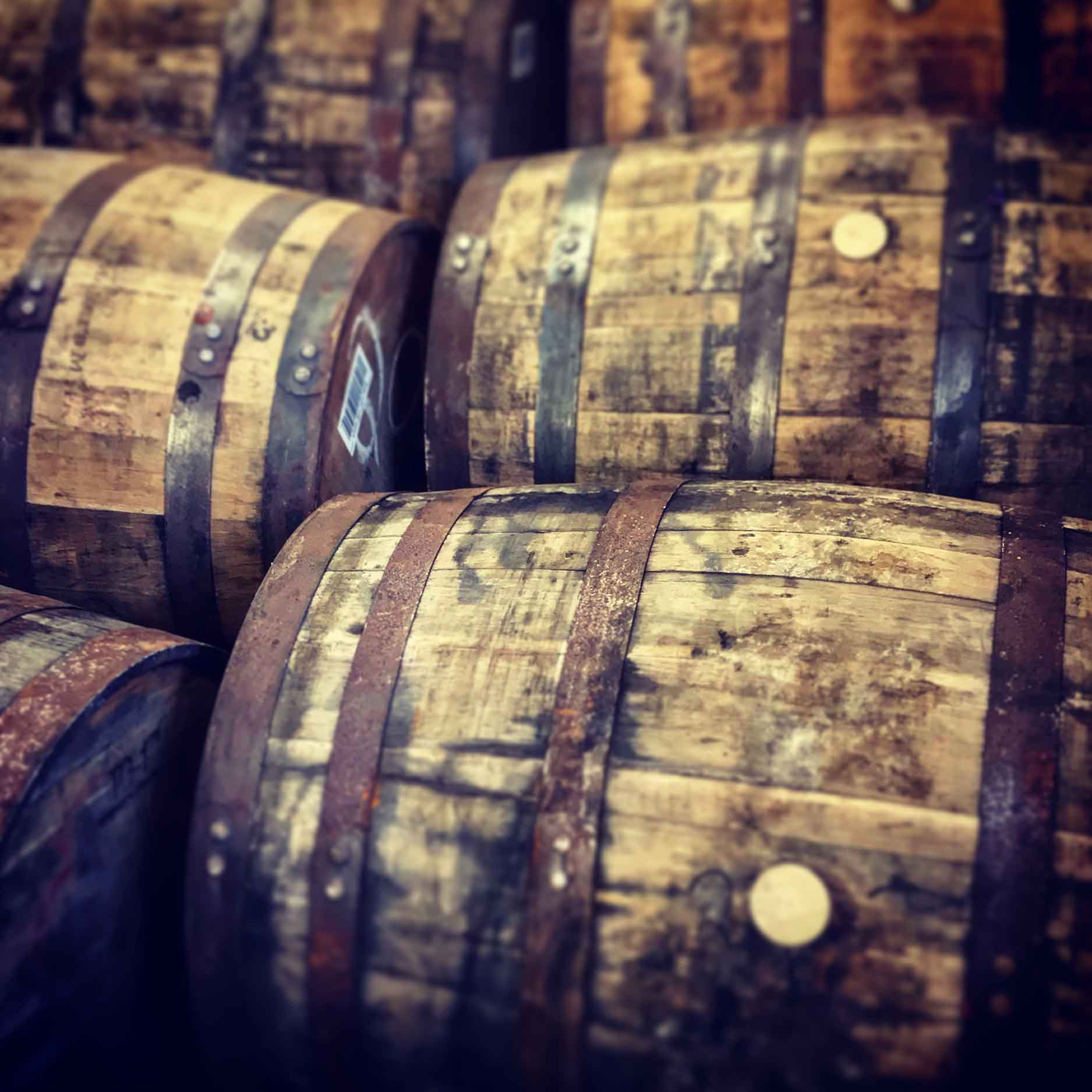 laphroaig scotch barrels in islay scotland