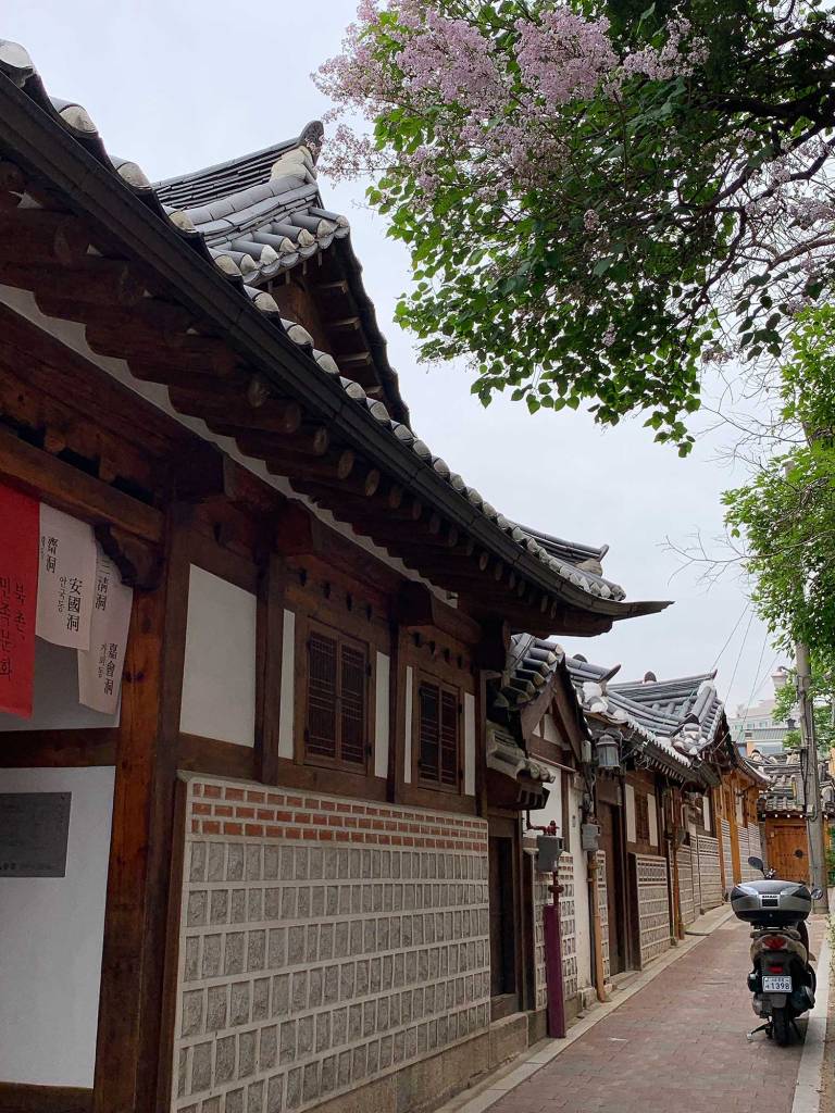 A narrow alley lined with traditional Korean hanok houses featuring tiled roofs and wooden beams, with green leaves hanging from a tree above and a parked scooter at the end of the path.