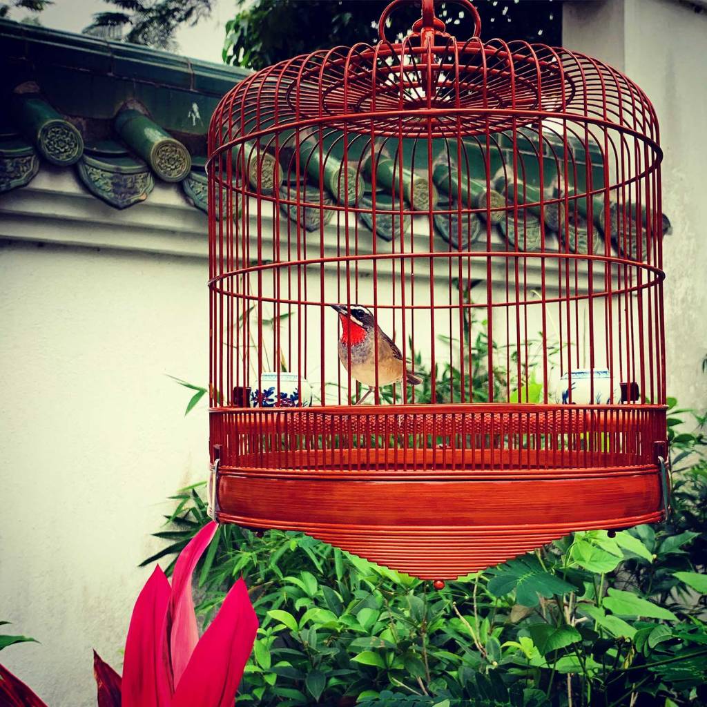 Yuen Po Bird Garden in Hong Kong