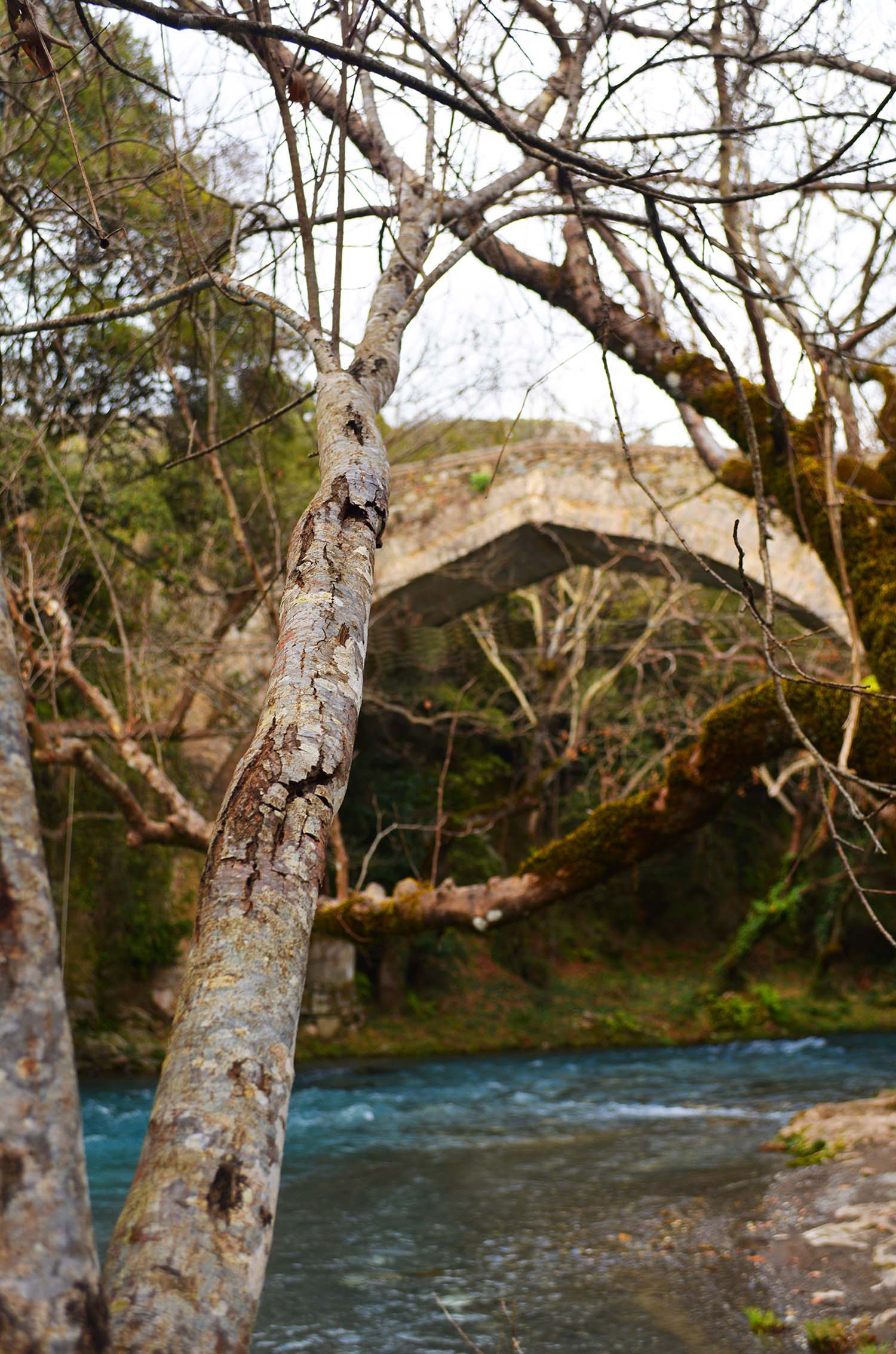 Kokkoris Bridge in Arkadia