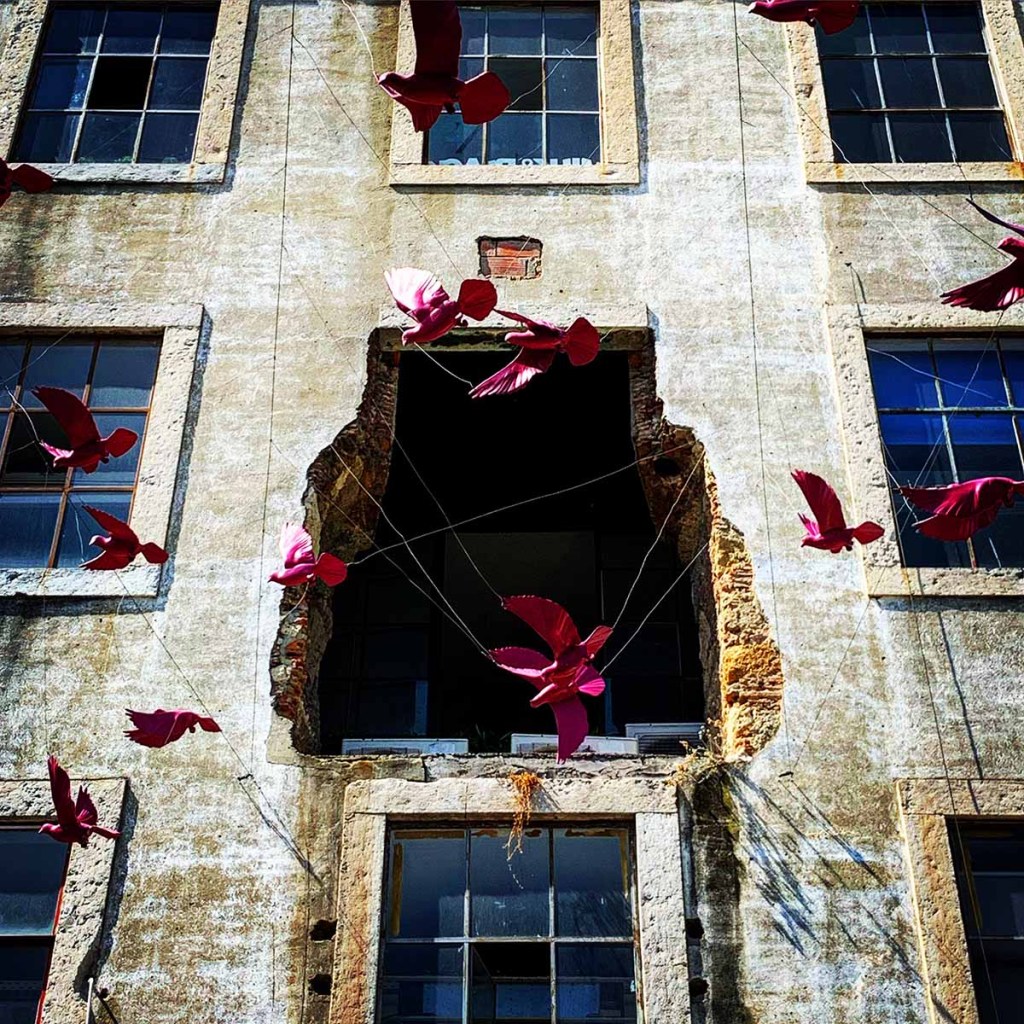 This image depicts a weathered building facade with a large, jagged opening where a window once was, adorned with an art installation of vibrant pink birds suspended in mid-flight. The birds appear to burst out from the building, adding a dynamic and artistic contrast to the aged and crumbling structure. The play of light and shadows from the birds enhances the sense of movement and creativity in this urban artwork.