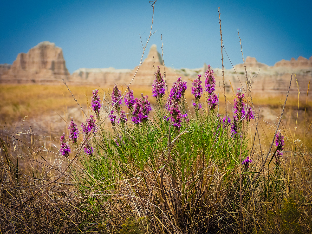 8 Incredible Things To Do In South Dakota - Global Debauchery