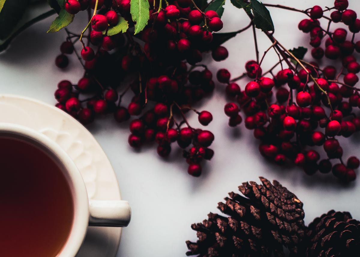 10 Easy Christmas Cocktails Guaranteed To Give You The Holiday Feels