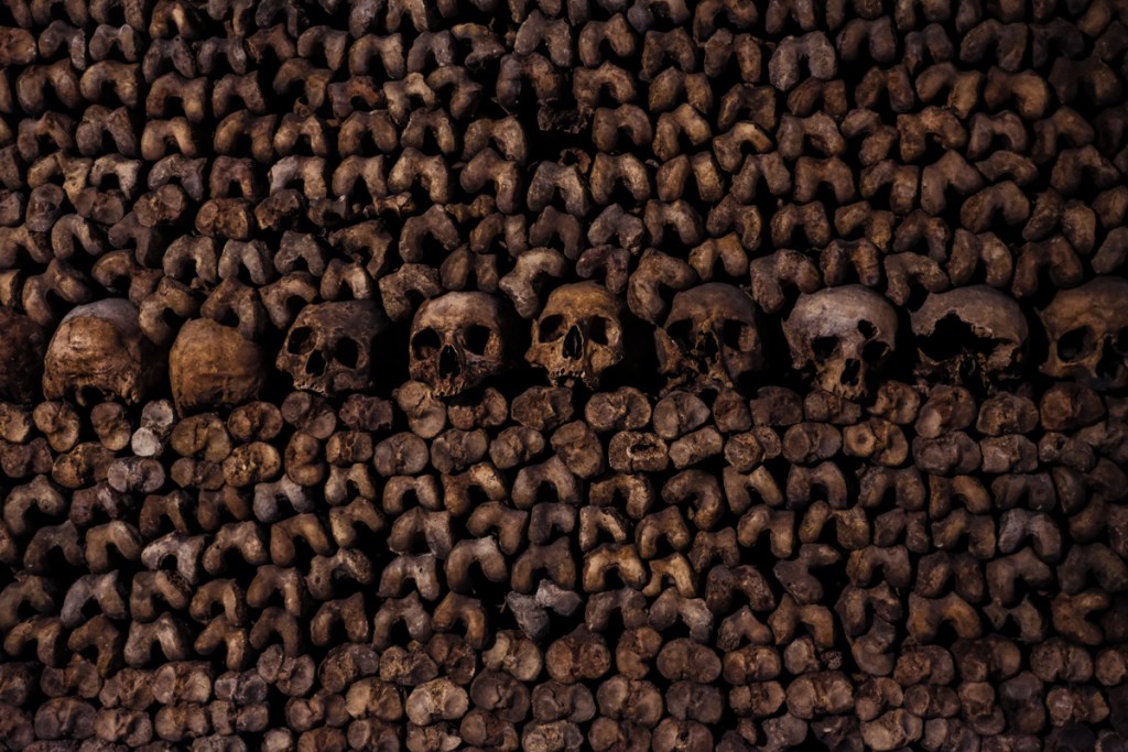 Skulls in the Paris Catacombs