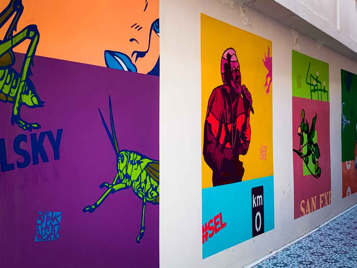 This image showcases a series of vibrant, pop art-inspired murals on a wall, featuring bold colors and graphic designs. The murals include a variety of elements: on the left, there are bright green grasshoppers on a purple background with the word "SKY" in bold blue letters, a stylized image of a woman's face, and an orange background. The central mural depicts a figure, likely a musician, singing into a microphone, painted in shades of red and purple against a yellow and blue background, with the text "#SEL" and "km 0" in the lower section. The mural to the right includes botanical elements on a green and pink background with the text "SAN EX," along with other abstract designs further along the wall. The artwork creates a lively and eclectic visual experience, with each piece standing out due to its vivid color palette and distinct style.