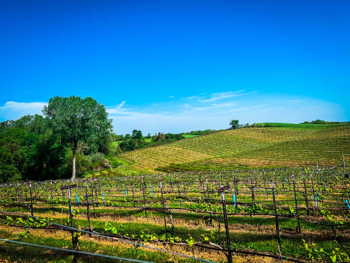 Missouri Wine & Spirits: 5 Boozy Must-Visit Hot Spots