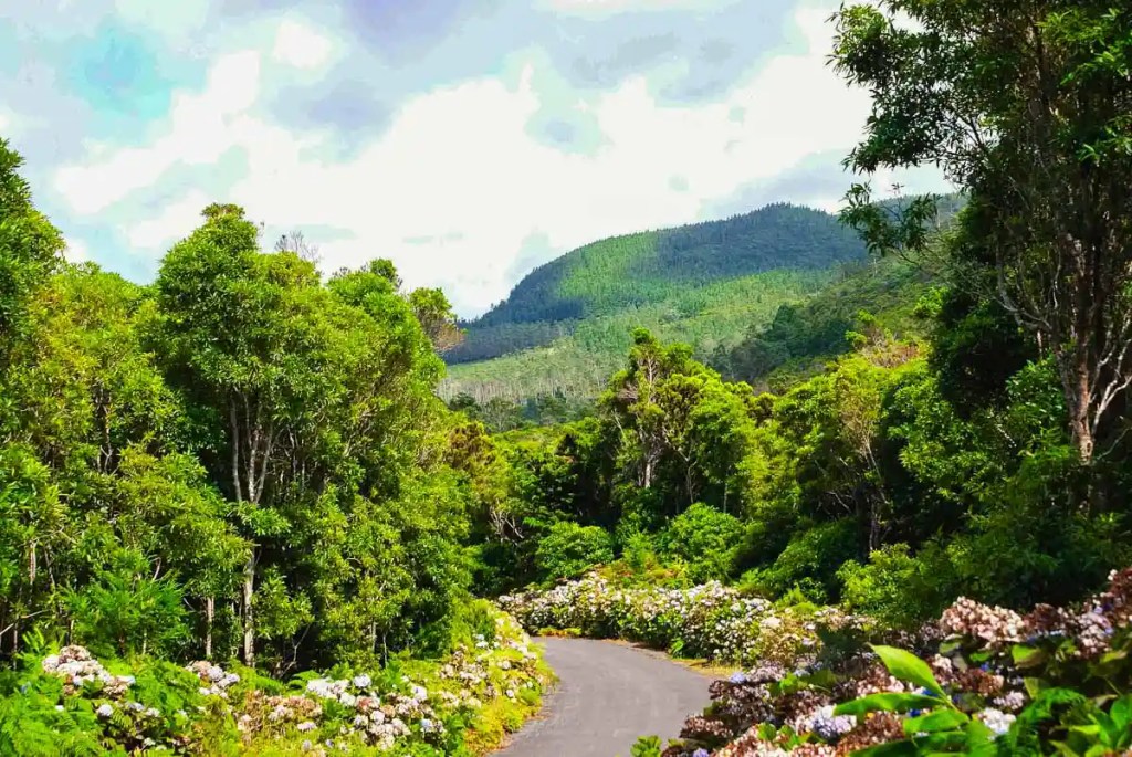 serra de santa barbara