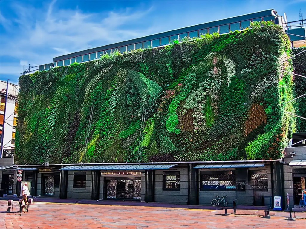 Things to do in Avignon, Les Halles