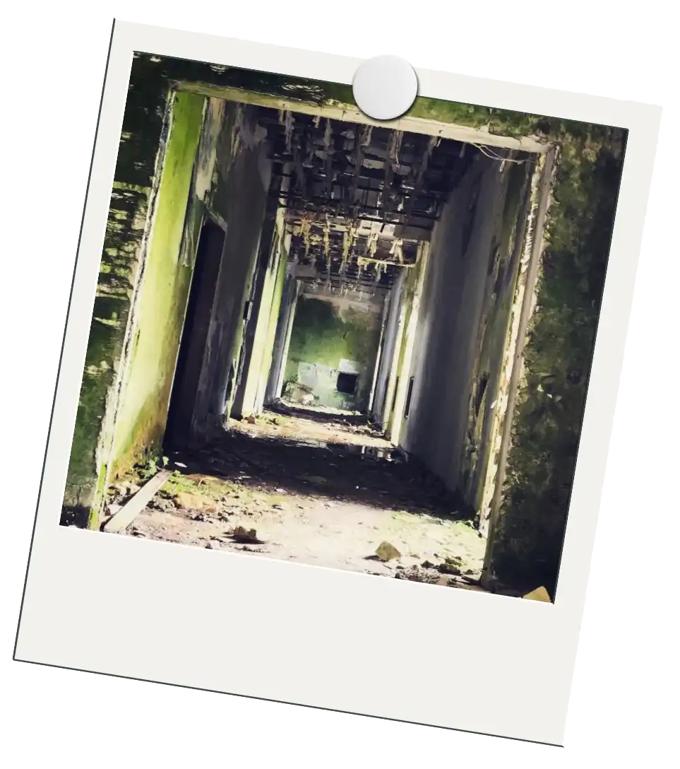 Weird Places polaroid