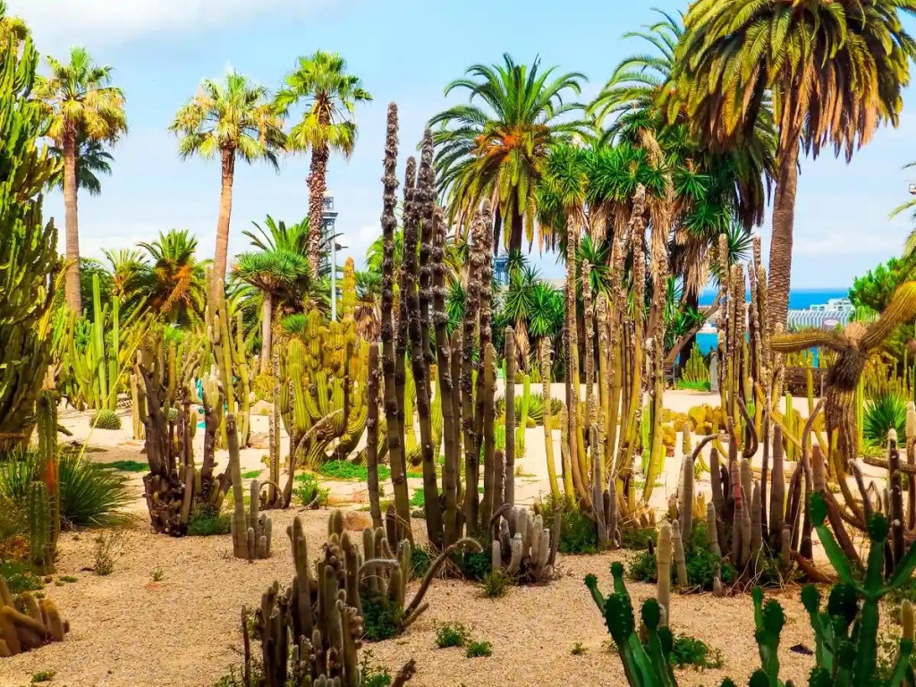 Off-beat Barcelona Jardins de Mossen Costa i Llobera