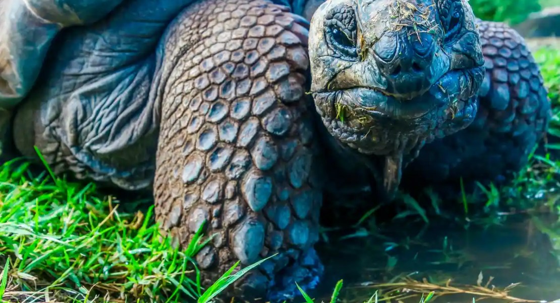 Galapagos Itinerary: 5 Days of Hidden and Unique Adventures