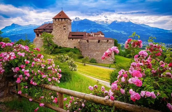 A stone castle with red-roofed towers sits atop a lush green hill, framed by blooming pink roses in the foreground. Snow-capped mountains rise in the distance under a dramatic sky, creating a fairytale-like alpine scene.