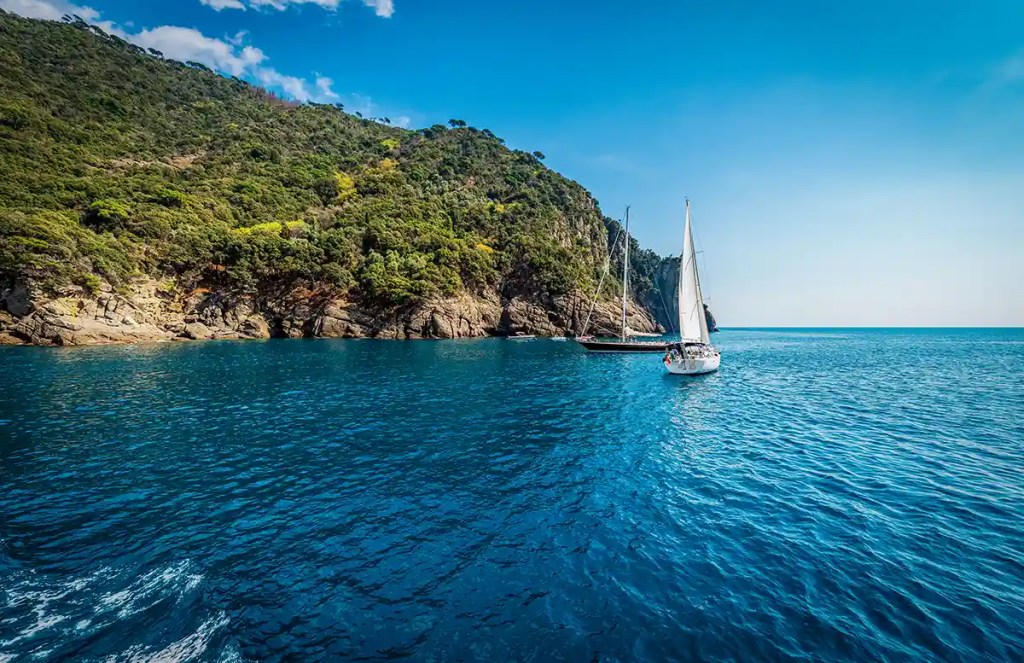 A white sailboat glides across crystal-clear blue water near a rocky coastline covered in lush green trees. Another sailboat is anchored closer to the shore under a bright blue sky on a calm, sunny day.
