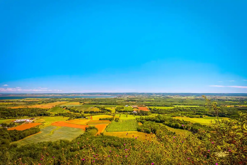 Rolling countryside landscape with patchwork farmland in shades of green and gold stretching to the horizon under a wide blue sky. Fields, vineyards, and clusters of trees create a colorful rural panorama viewed from an elevated hillside perspective.