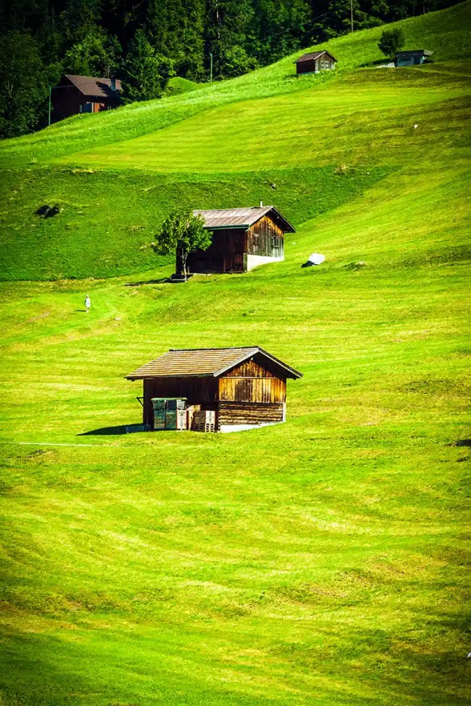 Rolling green hillside dotted with small wooden cabins, each spaced apart across the landscape. A lone person walks along the grassy slope, with dense forest lining the upper edge of the hill, creating a peaceful rural mountain scene.
