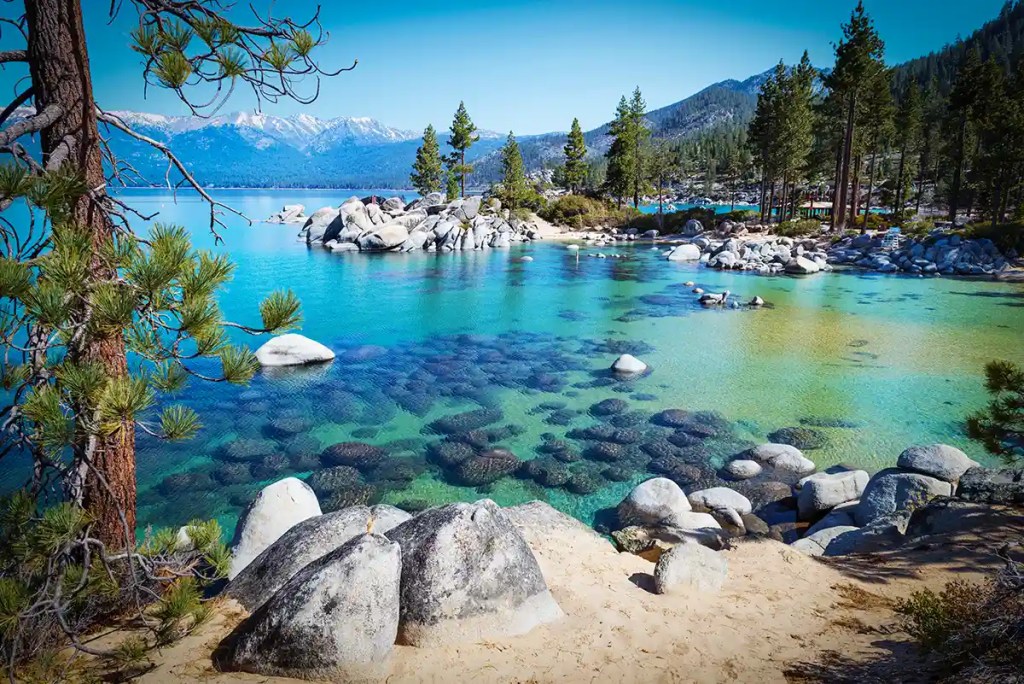 Crystal clear turquoise water reveals submerged granite boulders along the sandy shore of a mountain lake. Pine trees surround the rocky cove, with snow capped mountains rising in the distance beneath a bright blue sky.